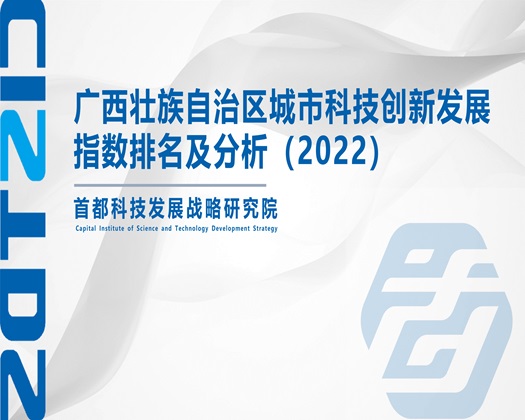 日逼吧【成果发布】广西壮族自治区城市科技创新发展指数排名及分析（2022）